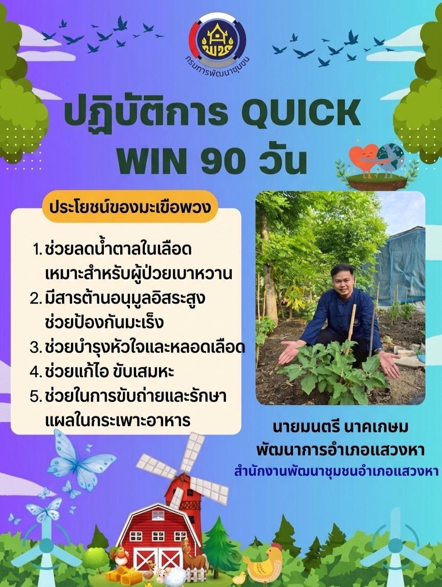 พช.แสวงหา ร่วมขับเคลื่อนปฏิบัติการ Quick Win 90 วัน ปลูกผักสวนครัว เพื่อสร้างความมั่นคงทางอาหาร สู้ภัยวิกฤตด้วยวิถีพอเพียง